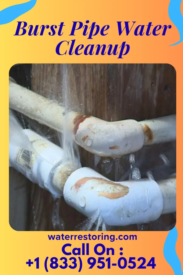 Burst Pipe Water Cleanup in Lake Bungee, CT