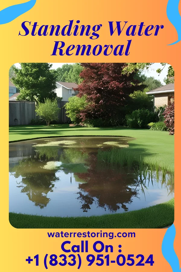 Standing Water Removal in Lake Bungee, CT